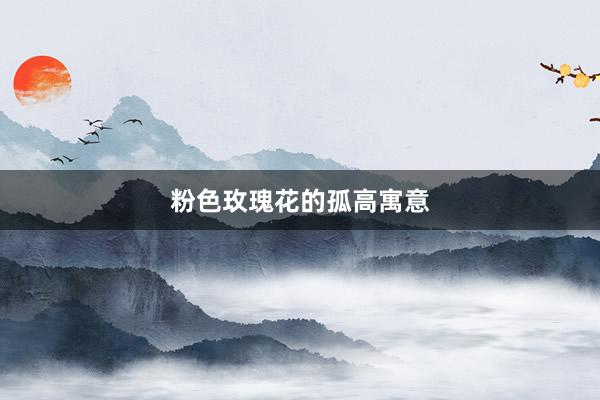粉色玫瑰花的孤高寓意